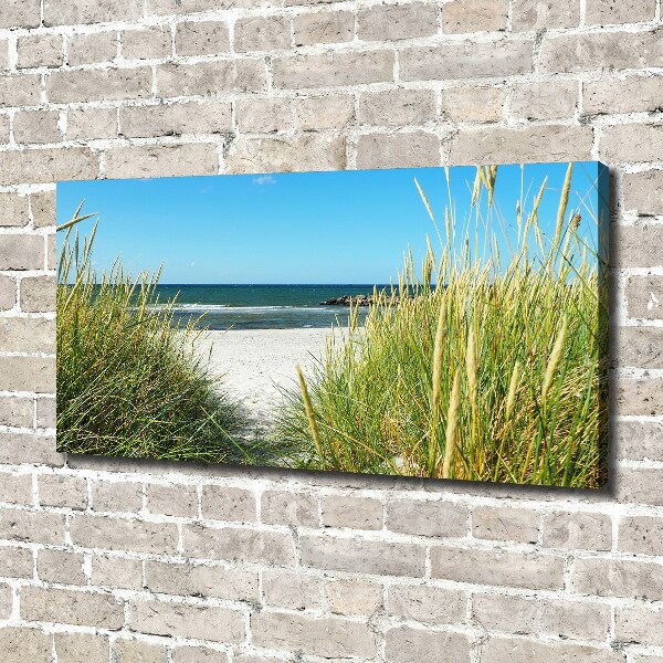 Canvas wall art Coastal dunes