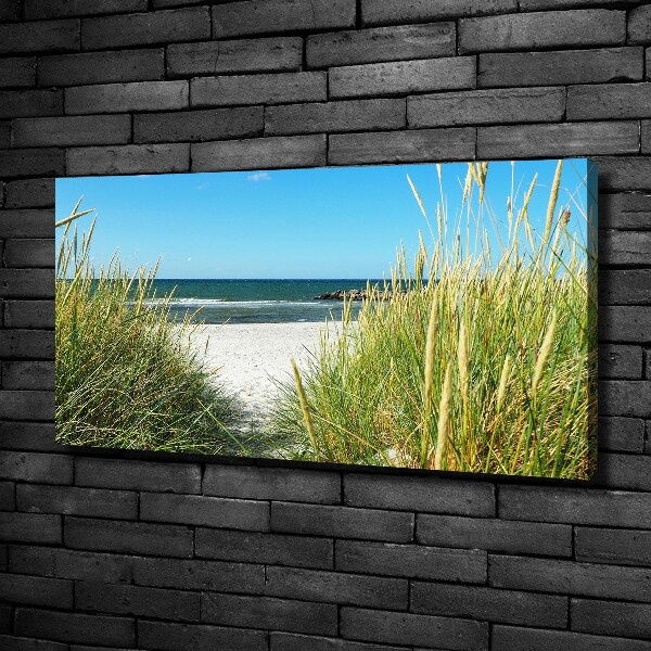 Canvas wall art Coastal dunes