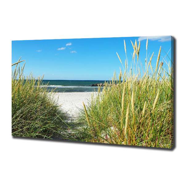 Canvas wall art Coastal dunes