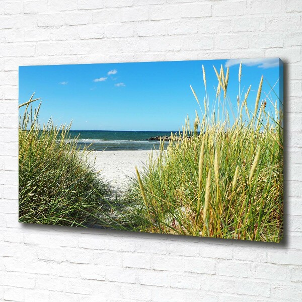 Canvas wall art Coastal dunes