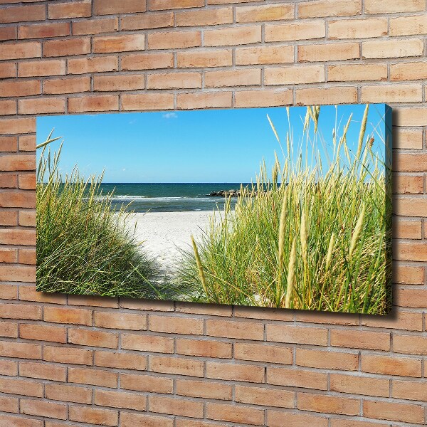 Canvas wall art Coastal dunes