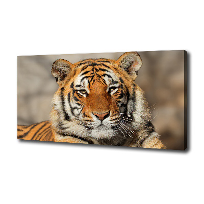 Canvas wall art Bengal tiger