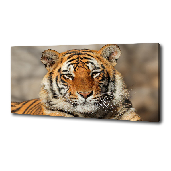 Canvas wall art Bengal tiger