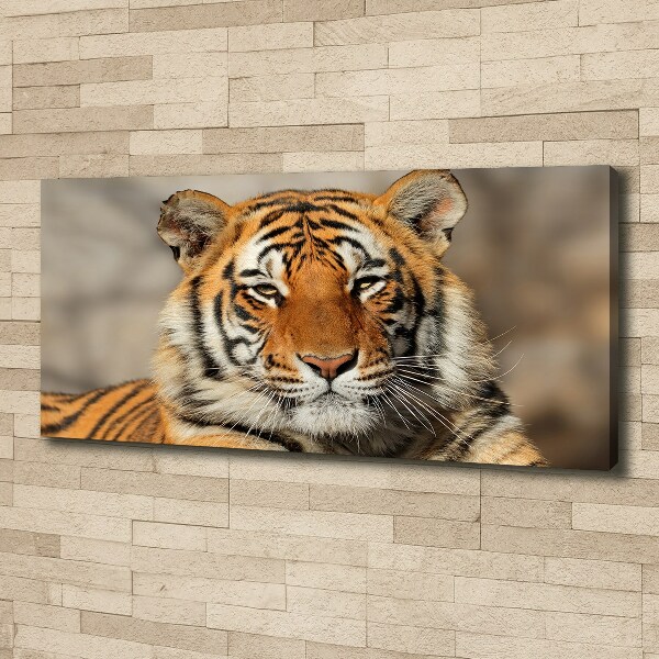 Canvas wall art Bengal tiger