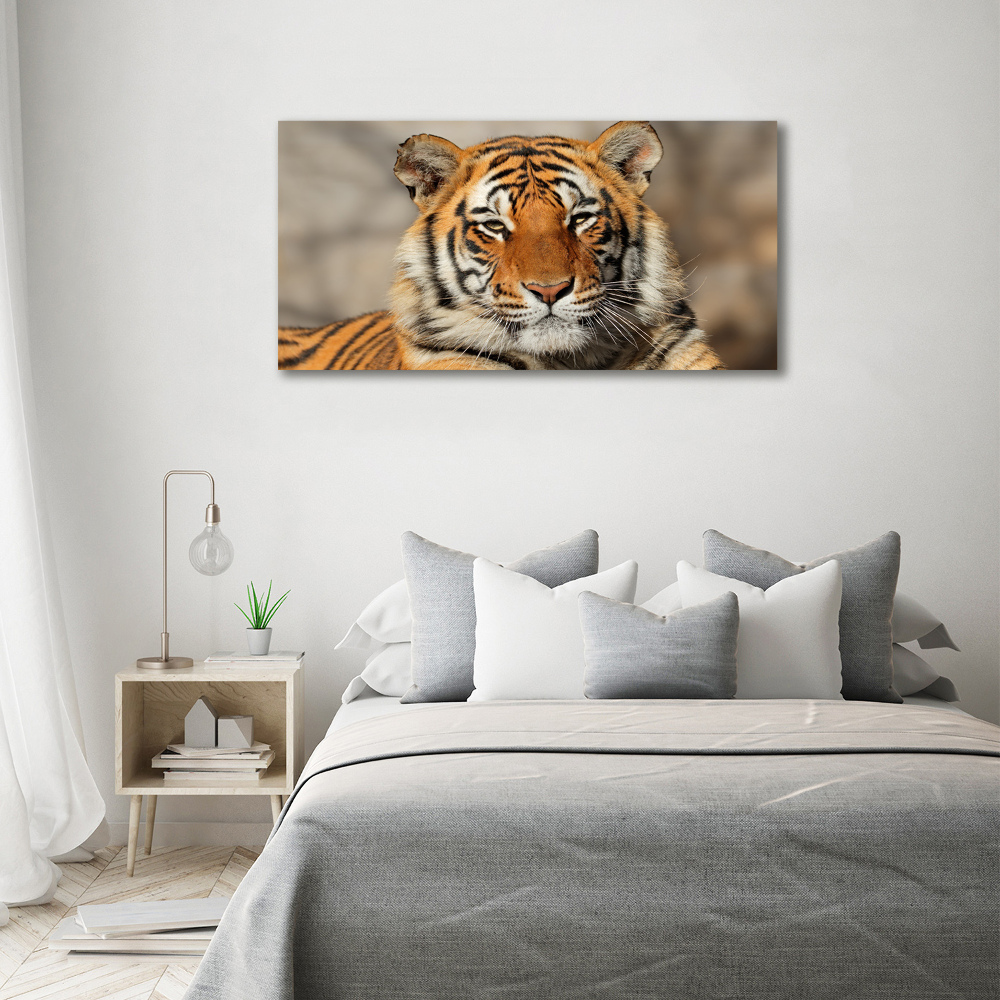 Canvas wall art Bengal tiger