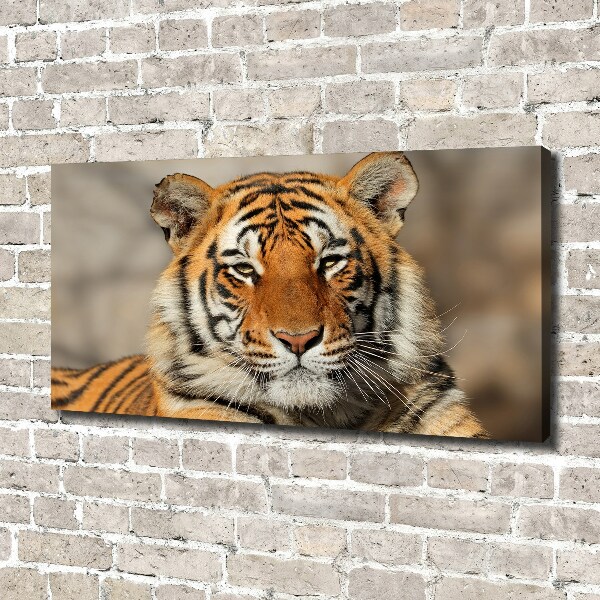 Canvas wall art Bengal tiger