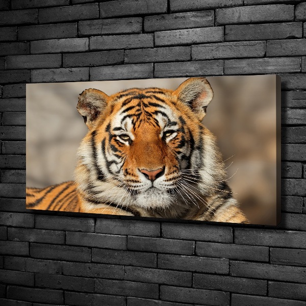 Canvas wall art Bengal tiger