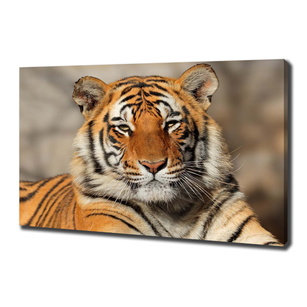 Canvas wall art Bengal tiger