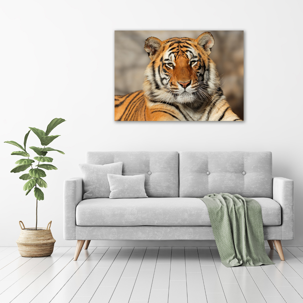 Canvas wall art Bengal tiger