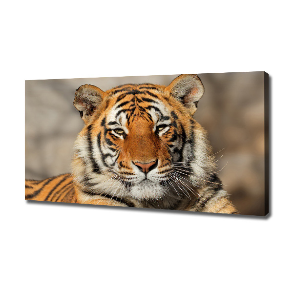 Canvas wall art Bengal tiger