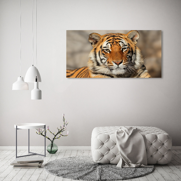 Canvas wall art Bengal tiger