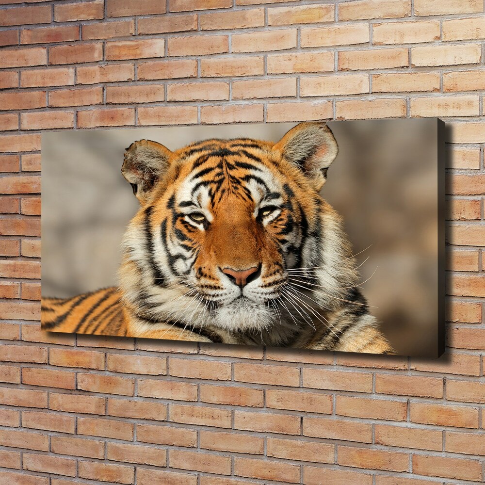 Canvas wall art Bengal tiger