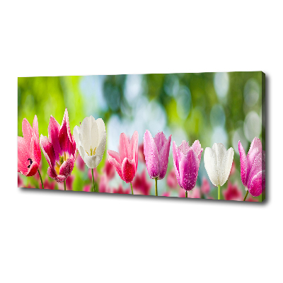 Canvas wall art Tulips