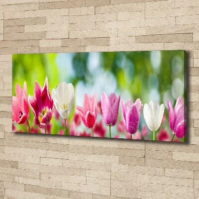 Canvas wall art Tulips