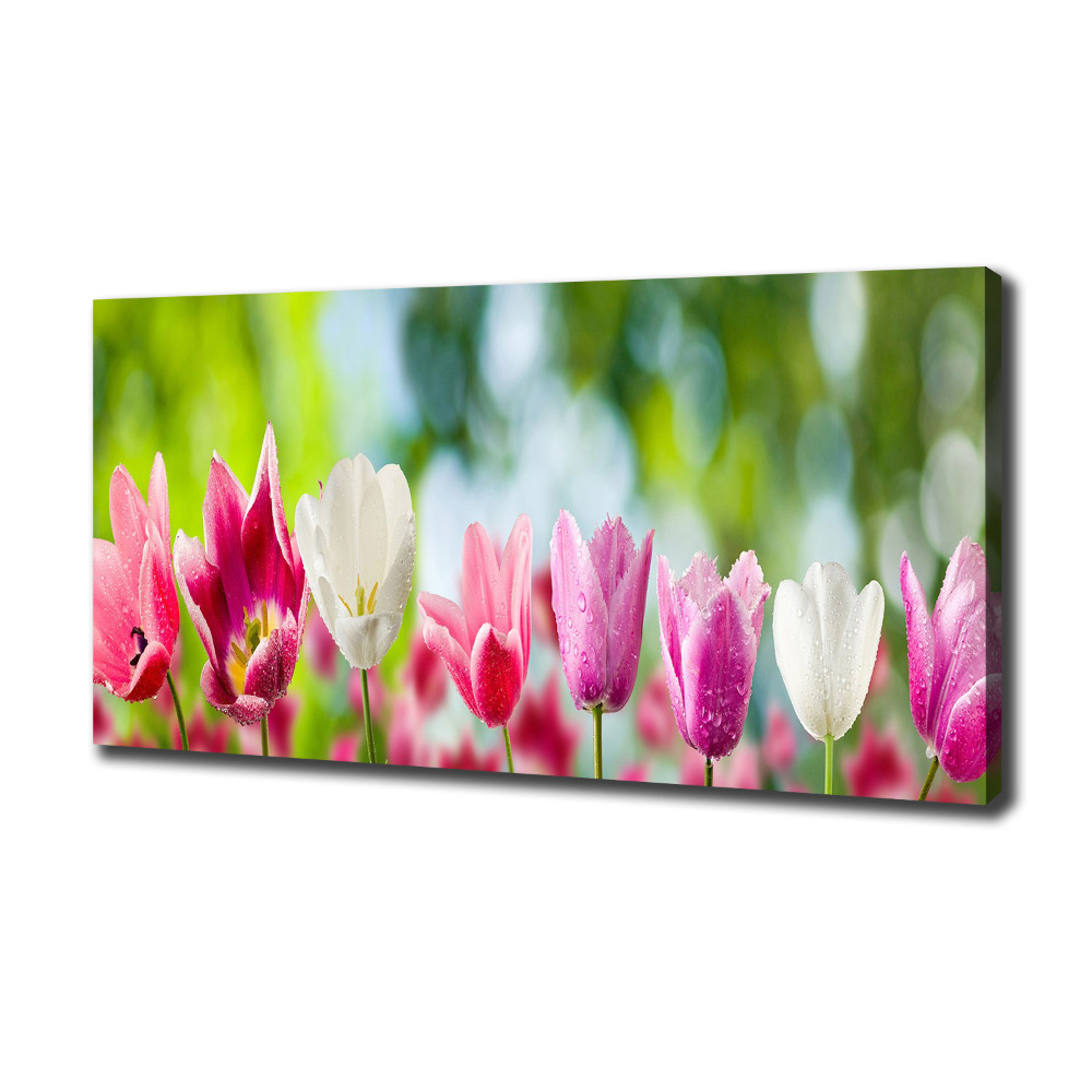 Canvas wall art Tulips