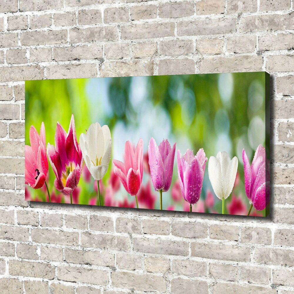 Canvas wall art Tulips