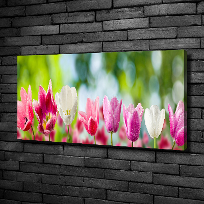 Canvas wall art Tulips