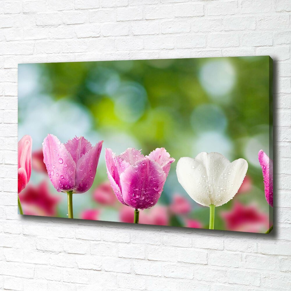 Canvas wall art Tulips