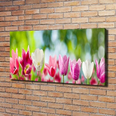 Canvas wall art Tulips