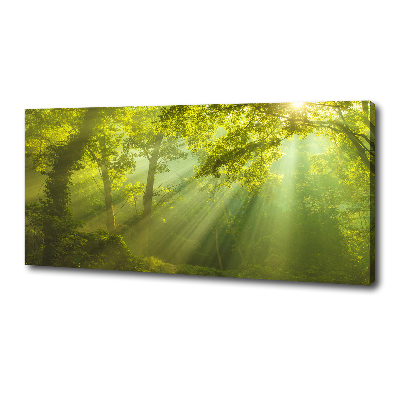 Canvas wall art Forest in the sun