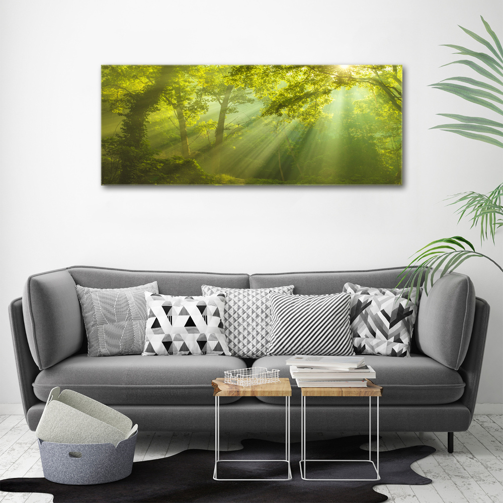 Canvas wall art Forest in the sun