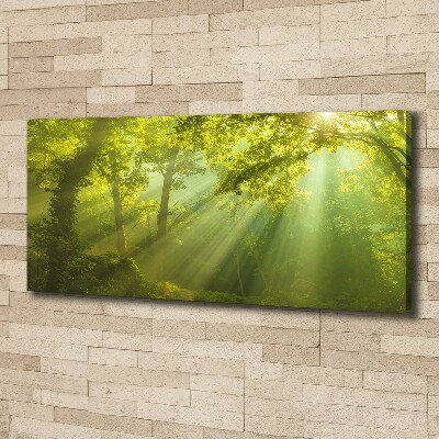 Canvas wall art Forest in the sun