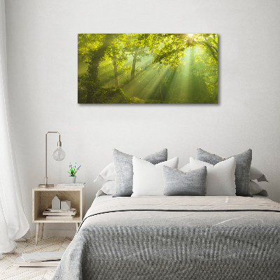 Canvas wall art Forest in the sun