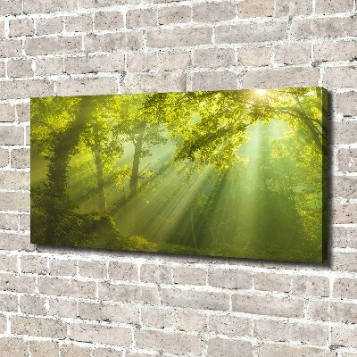 Canvas wall art Forest in the sun