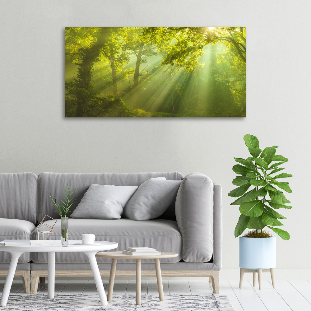 Canvas wall art Forest in the sun