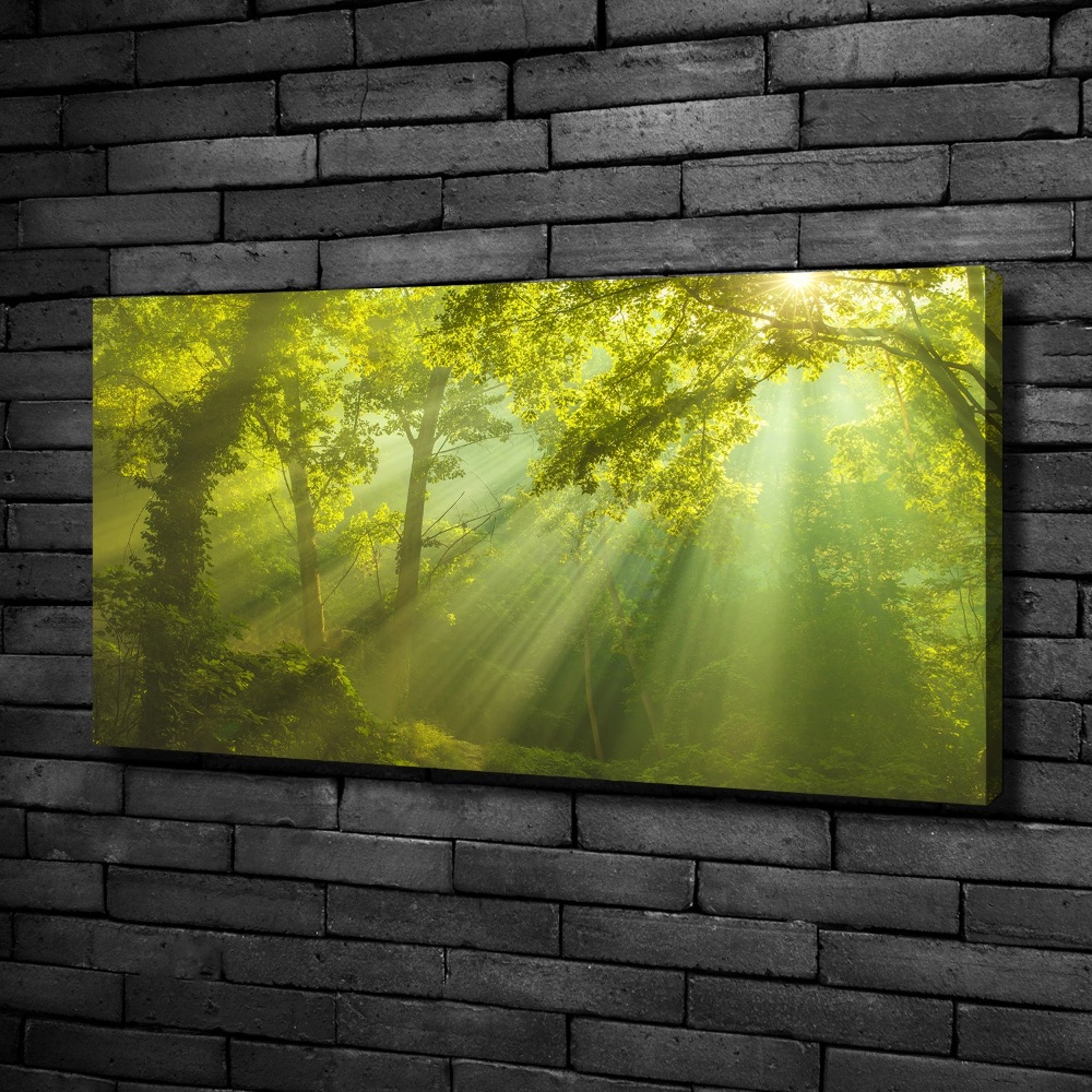 Canvas wall art Forest in the sun