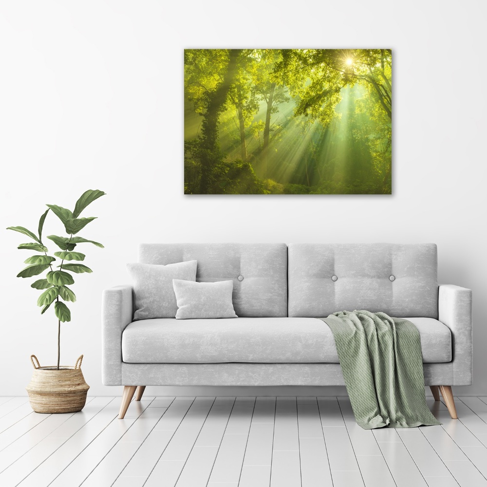 Canvas wall art Forest in the sun