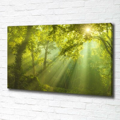 Canvas wall art Forest in the sun