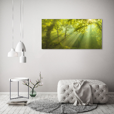 Canvas wall art Forest in the sun