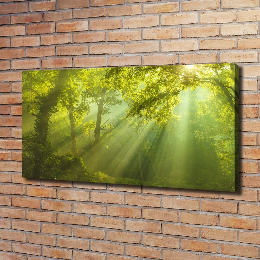 Canvas wall art Forest in the sun