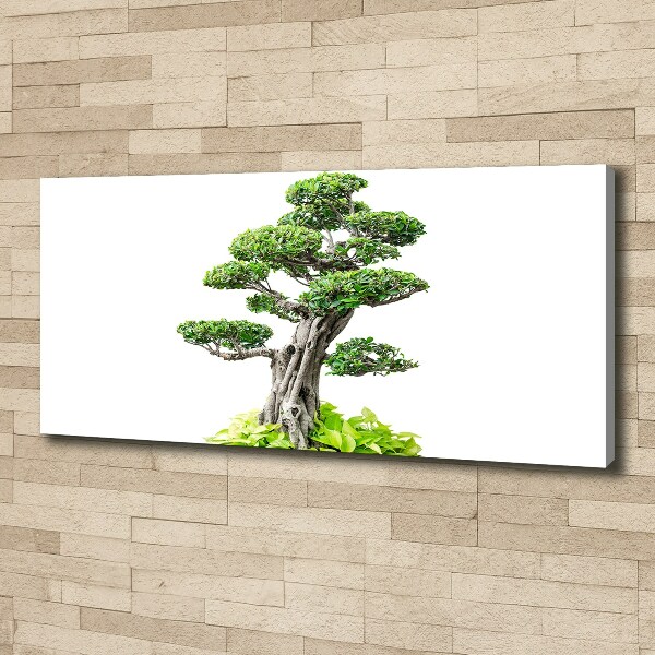 Canvas wall art Bonsai tree