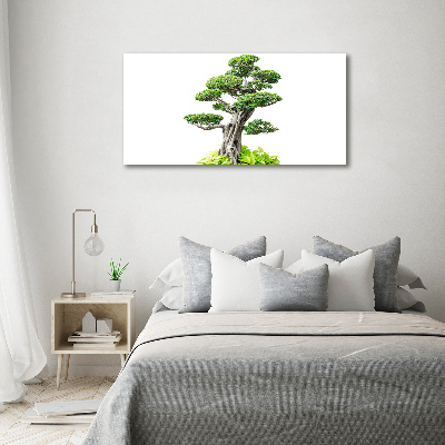 Canvas wall art Bonsai tree