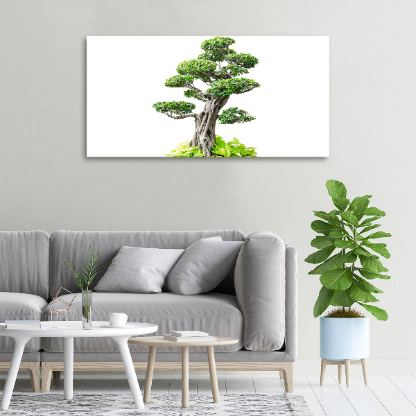 Canvas wall art Bonsai tree