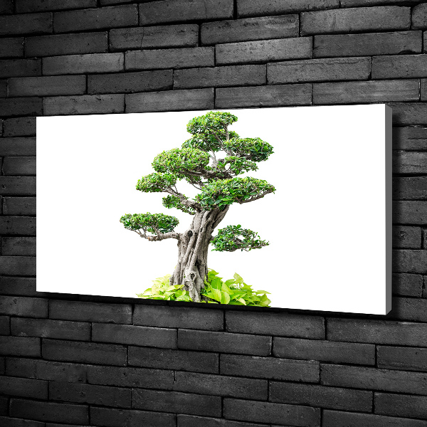 Canvas wall art Bonsai tree