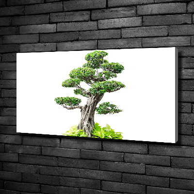 Canvas wall art Bonsai tree