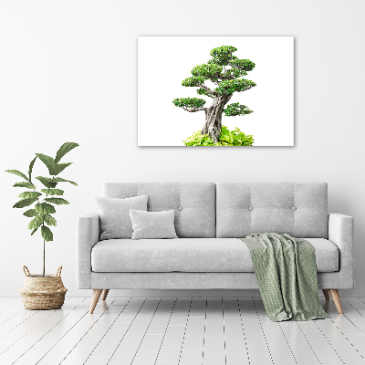 Canvas wall art Bonsai tree