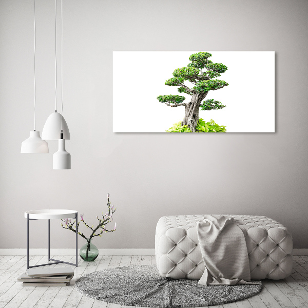 Canvas wall art Bonsai tree