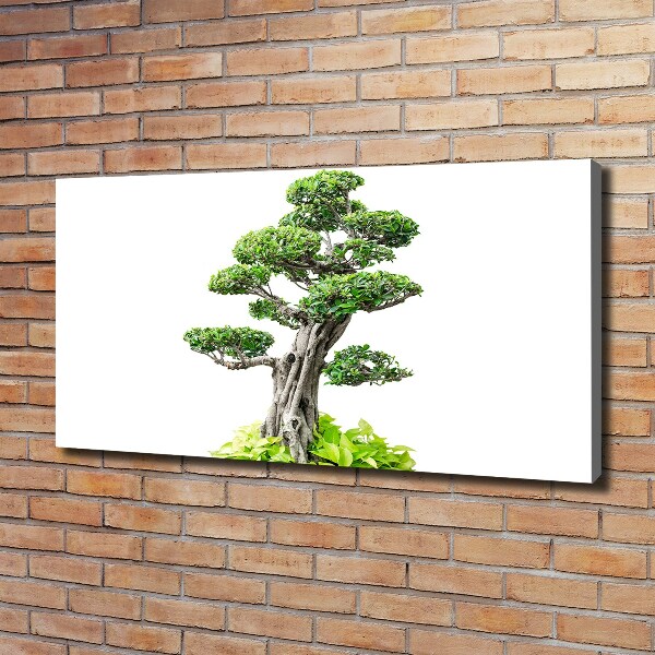 Canvas wall art Bonsai tree