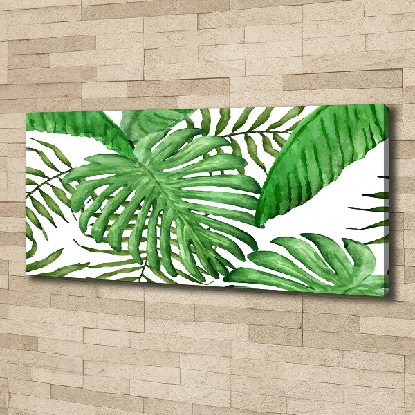 Canvas wall art Tropical leaves