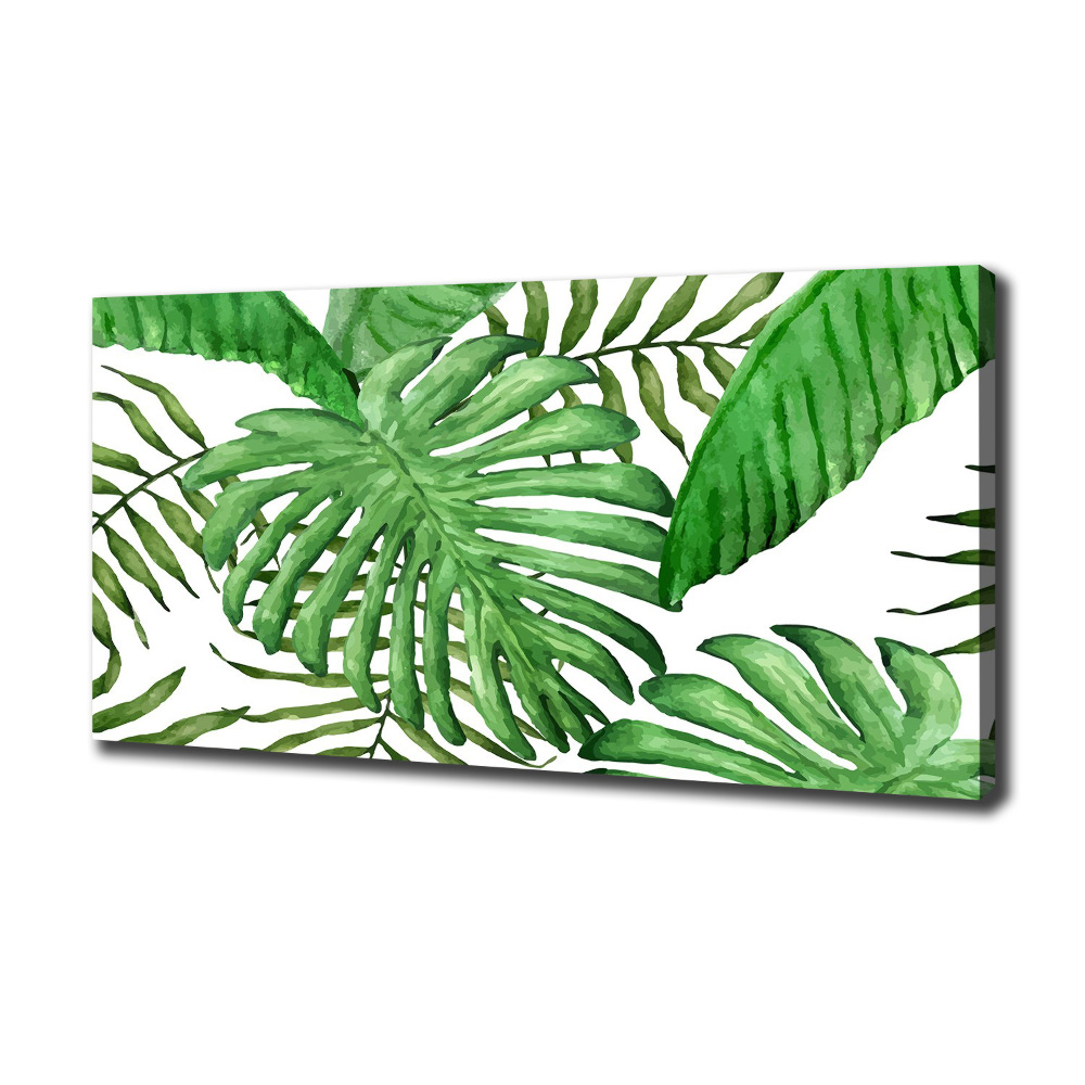 Canvas wall art Tropical leaves