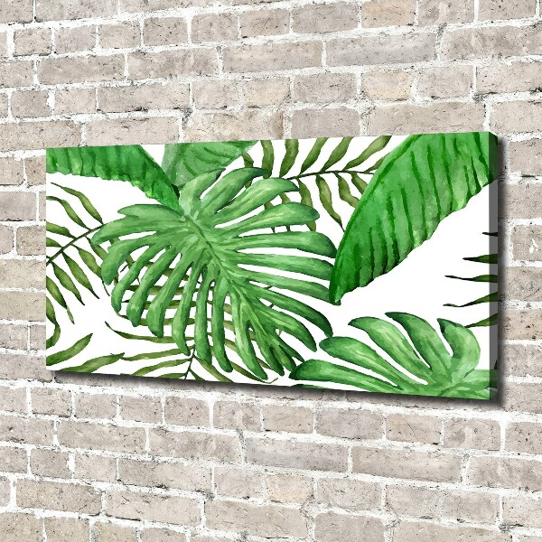 Canvas wall art Tropical leaves