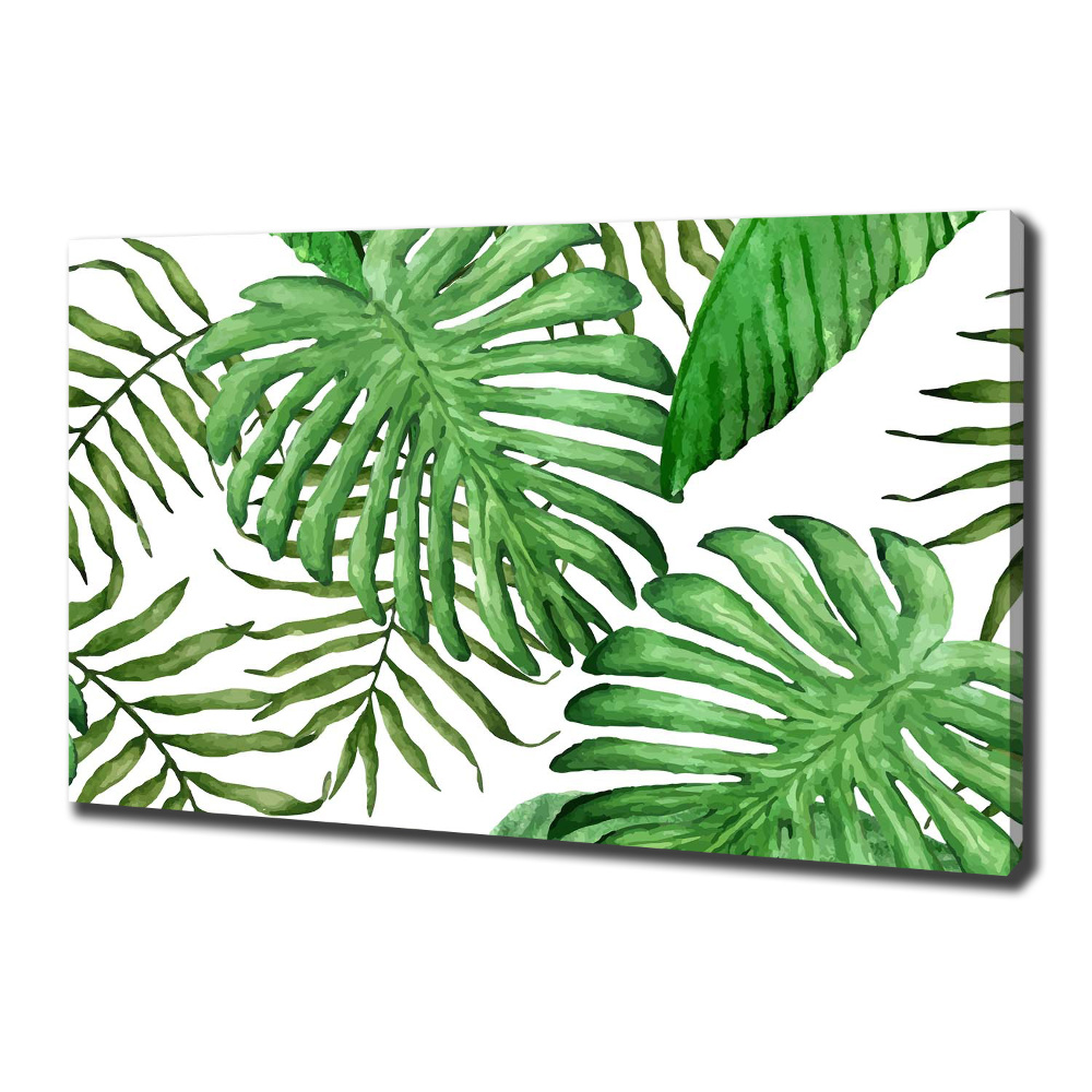 Canvas wall art Tropical leaves