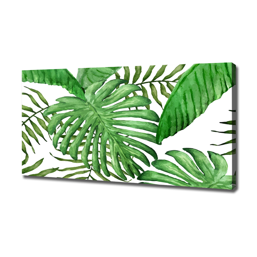 Canvas wall art Tropical leaves