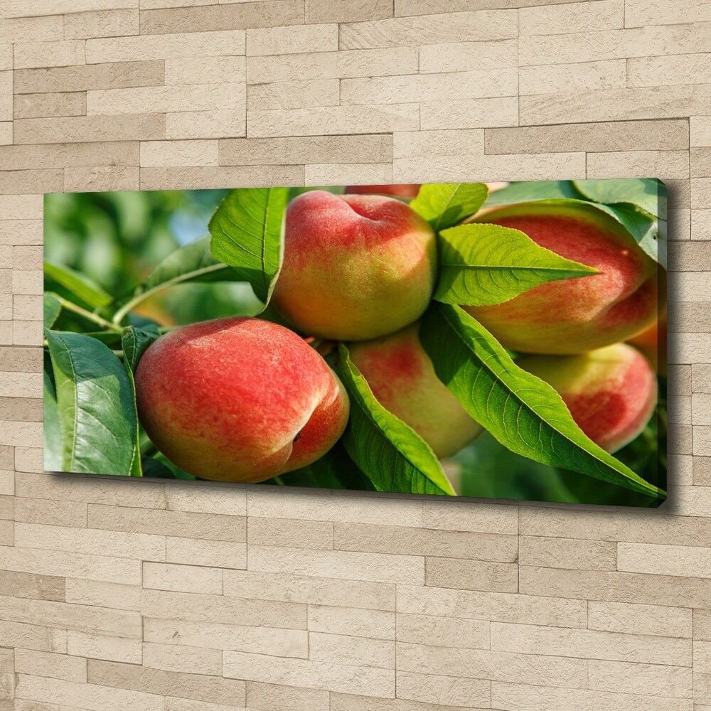 Canvas wall art Peaches