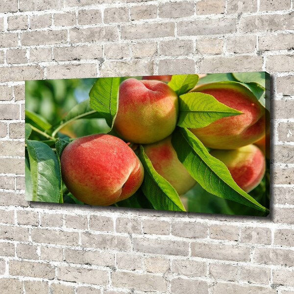 Canvas wall art Peaches