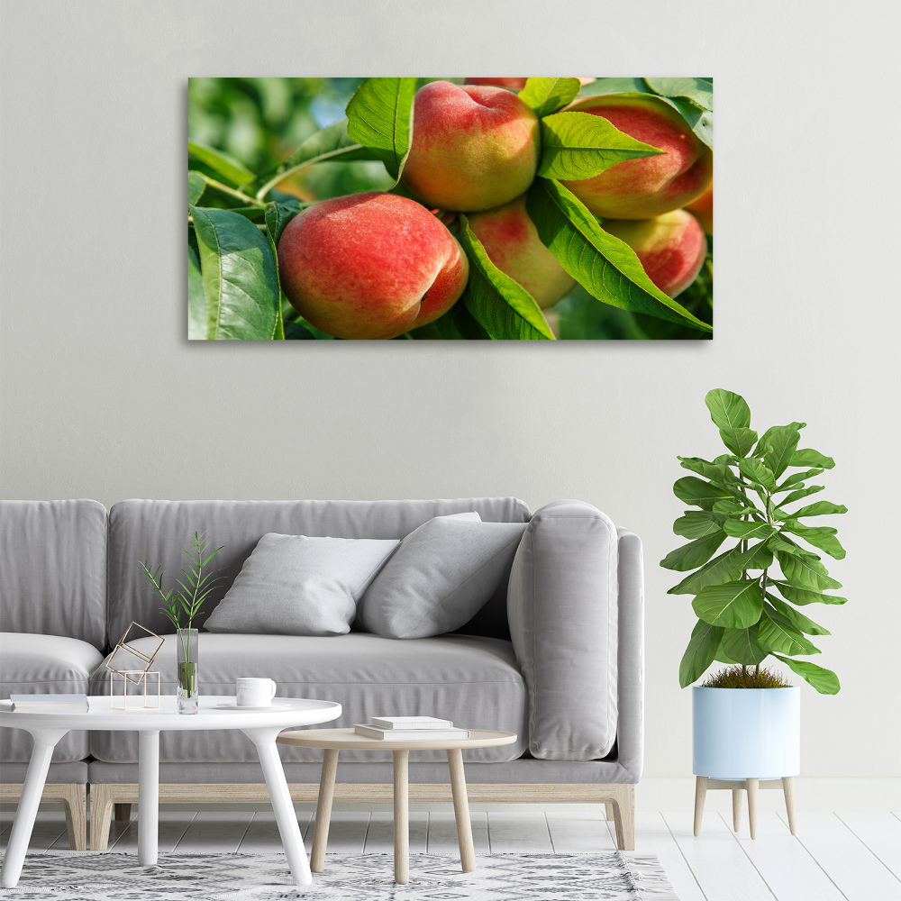 Canvas wall art Peaches